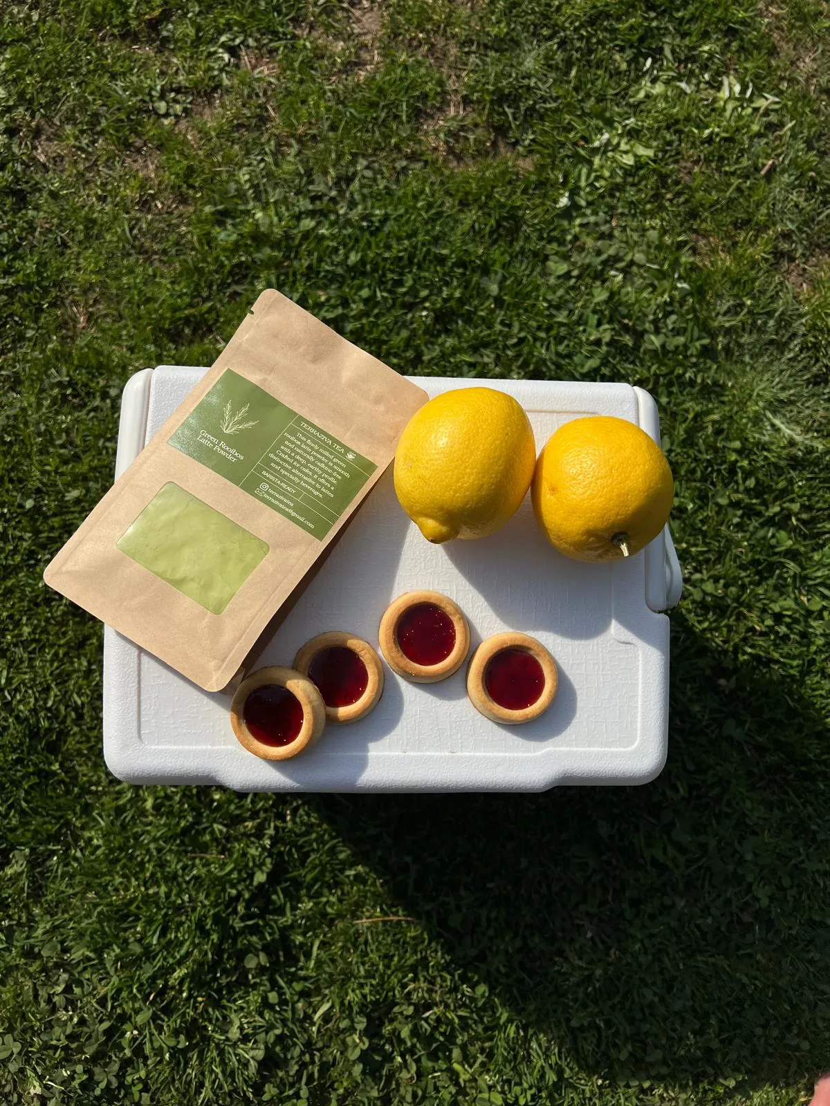 TerraZiva pouch